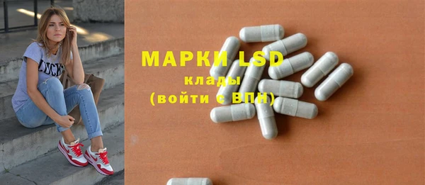 прущие грибы Снежинск