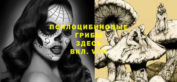 дживик Козловка