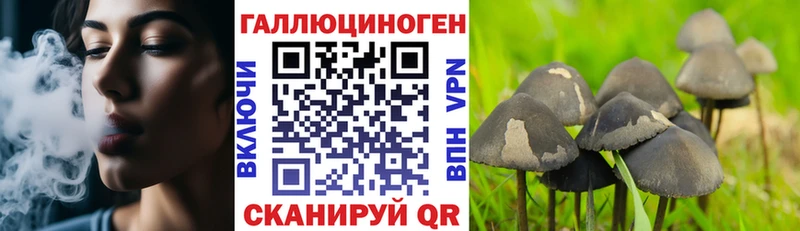 Галлюциногенные грибы GOLDEN TEACHER  Коломна 