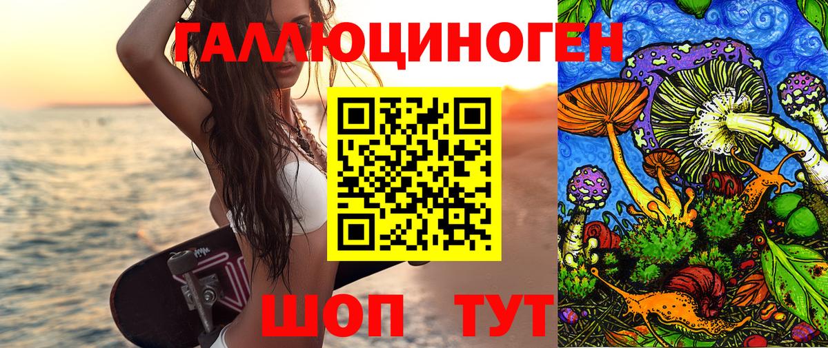 где купить наркоту  Галлюциногенные грибы GOLDEN TEACHER  Коломна  Вход с VPN  Псилоцибиновые грибы MAGIC MUSHROOMS 